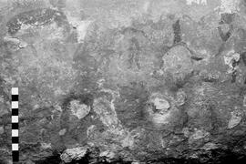 NMSA 03 6166P