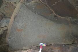 NMSA RSA KOP3 1D