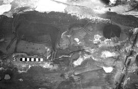 NMSA 03 1168P