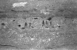 NMSA 03 1590P