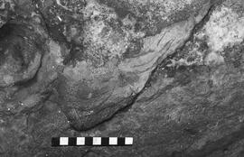 NMSA 03 5065P