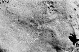 NMSA 03 8136P