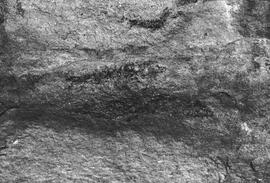 NMSA 03 441P