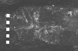 NMSA 03 2686P