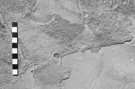 NMSA 03 2656P