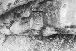 NMSA 03 2285P
