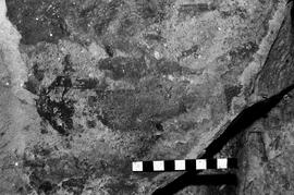 NMSA 03 4180P