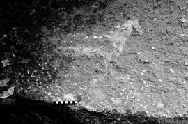 NMSA 03 3315P