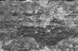 NMSA 03 215P