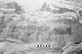 NMSA 03 1052P