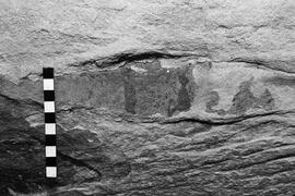 NMSA 03 6505P