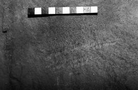NMSA 03 4459P