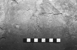 NMSA 03 3079P