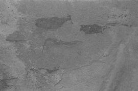 NMSA 03 8362P