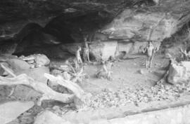 NMSA 03 8835P