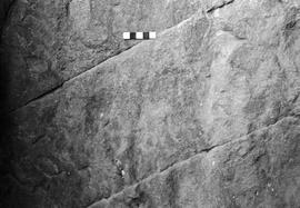 NMSA 03 8488P