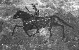 NMSA 03 489P