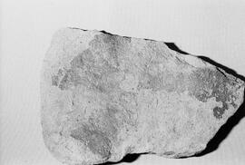 NMSA 03 8013P