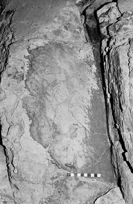 NMSA 03 6482P