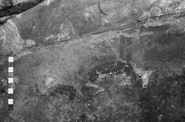 NMSA 03 6164P