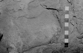 NMSA 03 5864P