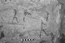 NMSA 03 5361P