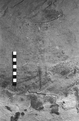NMSA 03 4062P