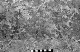 NMSA 03 6086P