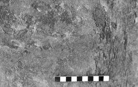 NMSA 03 5619P