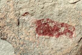 NMSA 02 139P