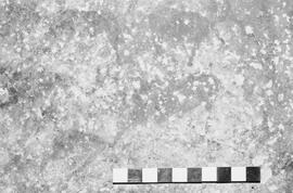 NMSA 03 1981P