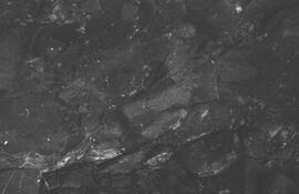 NMSA 03 5614P