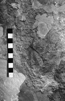 NMSA 03 4494P