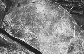NMSA 03 1984P