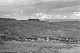 NMSA 03 637P