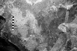 NMSA 03 3808P
