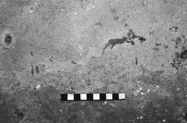NMSA 03 4172P