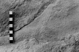NMSA 03 4991P