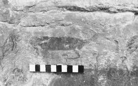 NMSA 03 828P