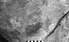 NMSA 03 6584P
