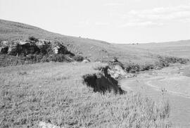 NMSA 03 7333P