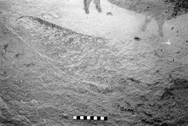 NMSA 03 4235P