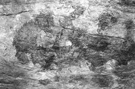 NMSA 03 204P