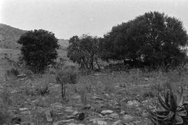 NMSA 03 8477P