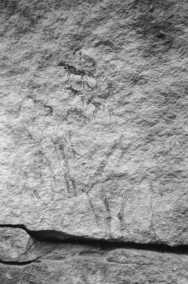 NMSA 03 8429P