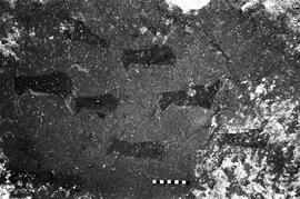 NMSA 03 3335P
