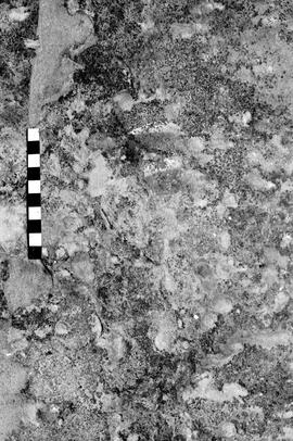 NMSA 03 4204P