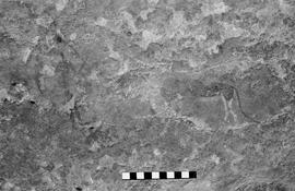 NMSA 03 6085P