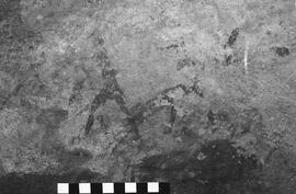 NMSA 03 5330P