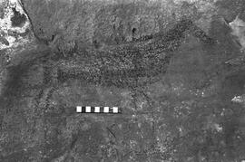 NMSA 03 1400P